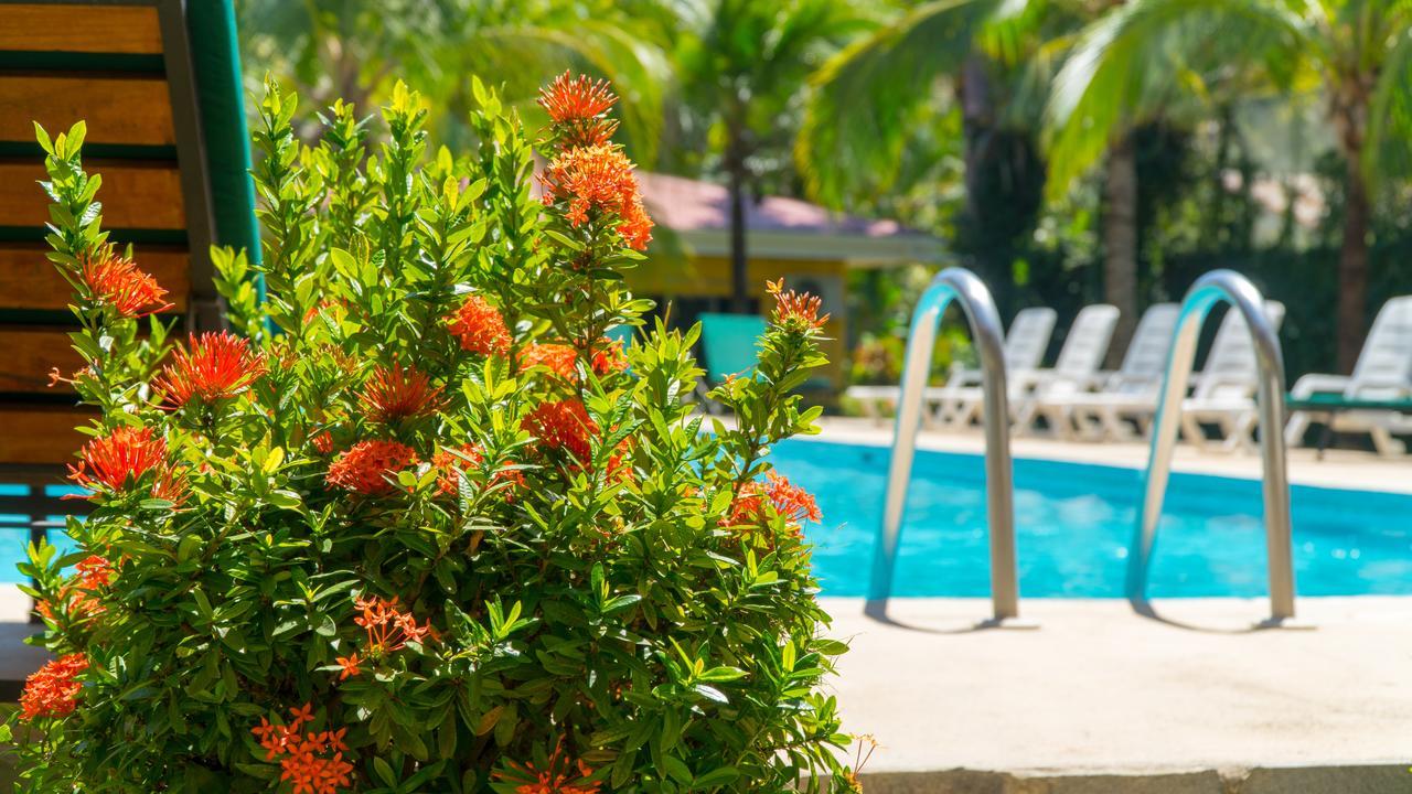 Hotel Isolina Beach Potrero  Εξωτερικό φωτογραφία